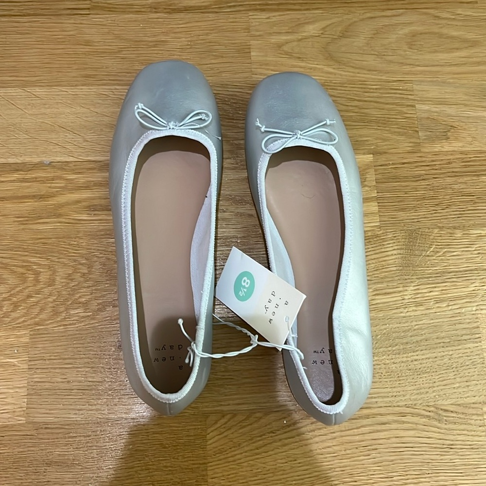 Metallic Ballet Flat